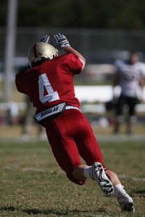 米兰体育官网下载-五大联赛争冠球队出场阵容中缺席后的战术重构，五大联赛全胜夺冠的球队  第3张